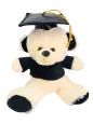 Peluche Oso Graduado con Birrete