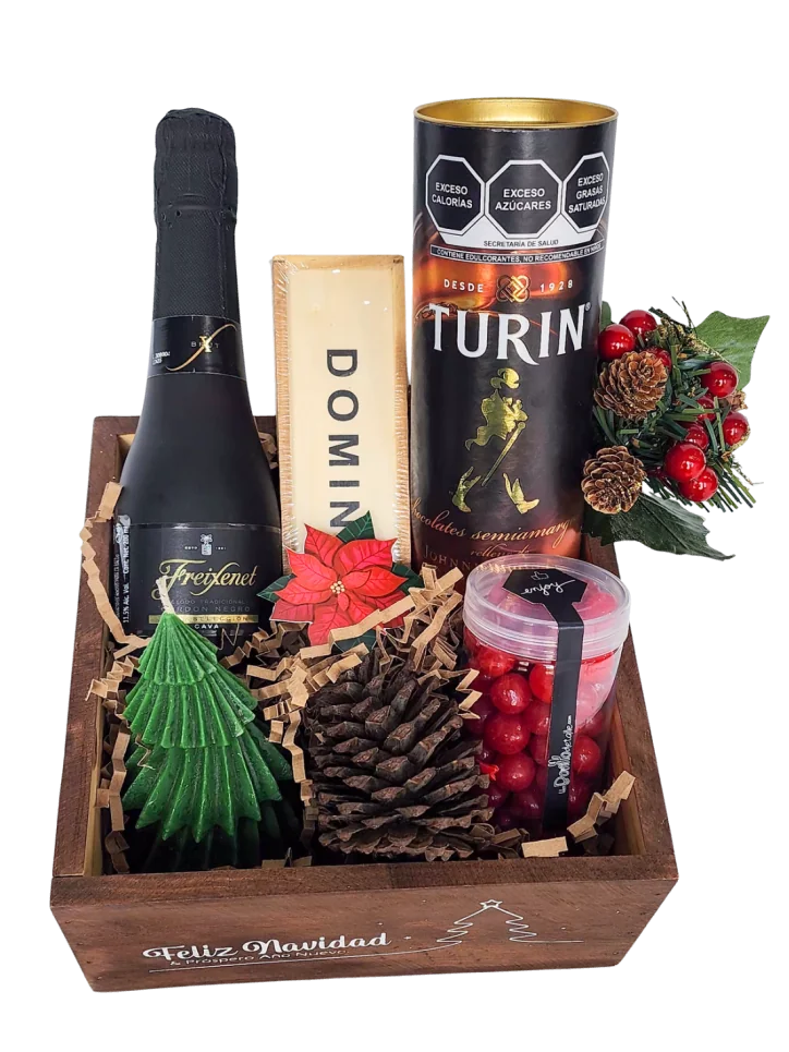 Caballero de la Navidad