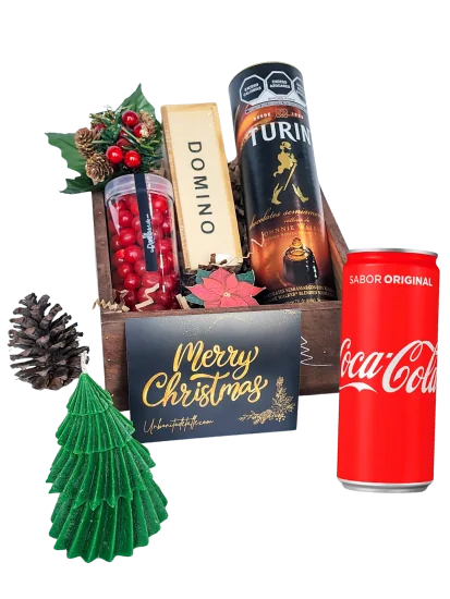 Regalo Caballero de la Navidad