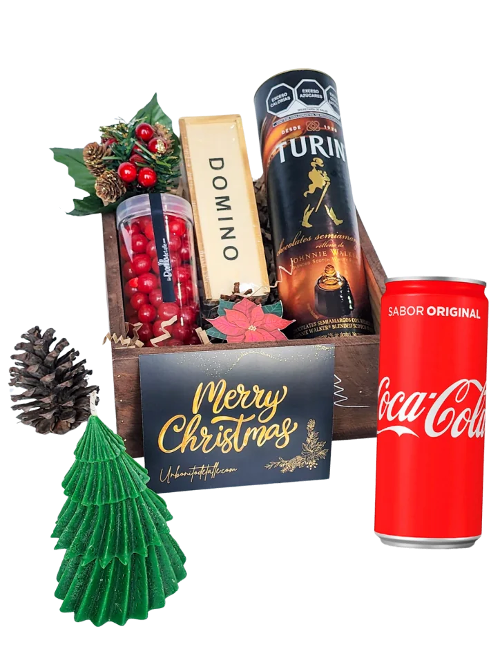 Caballero de la Navidad