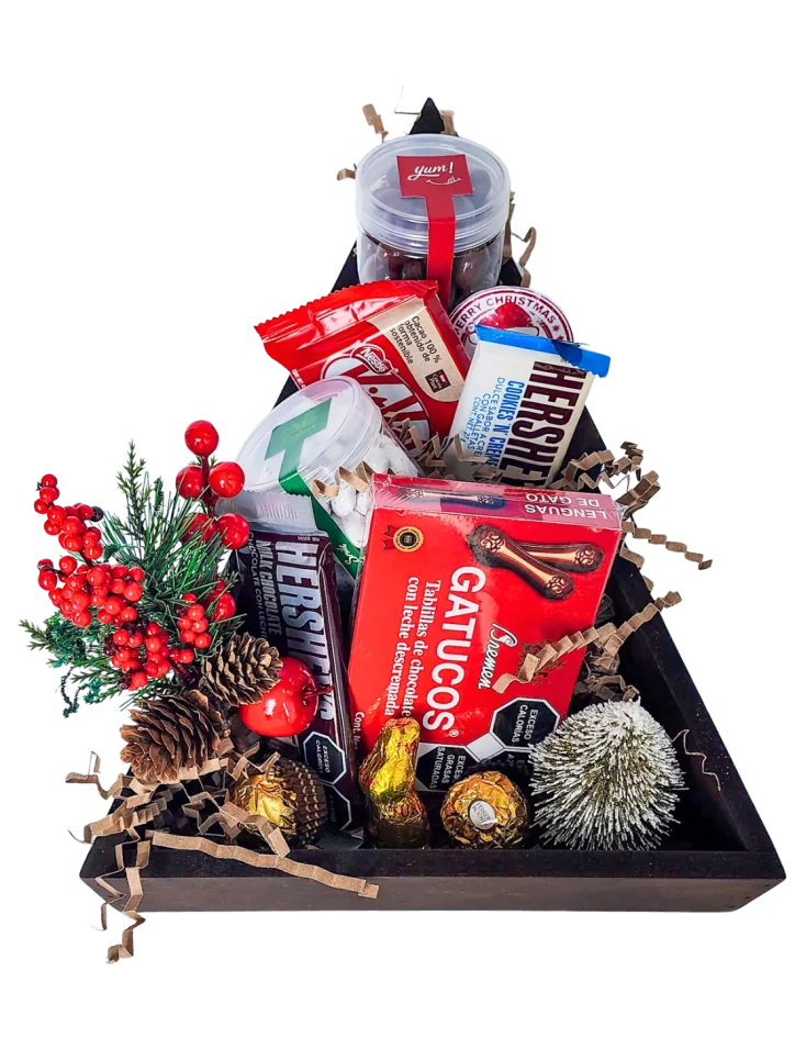 Obsequio Árbol de Chocolate