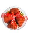 Extra Fresas para Desayunos