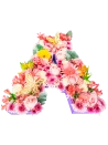 Letra de Flores para Ellas