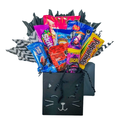 Regalo Gatito Negro