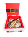 Santa is Coming