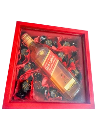 Regalo para Campeones
