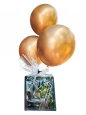 Regalo para Campeones
