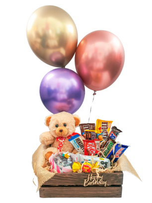 Happy Bear-day Gift