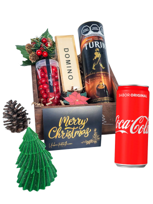 Caballero de la Navidad