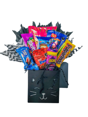Regalo Gatito Negro